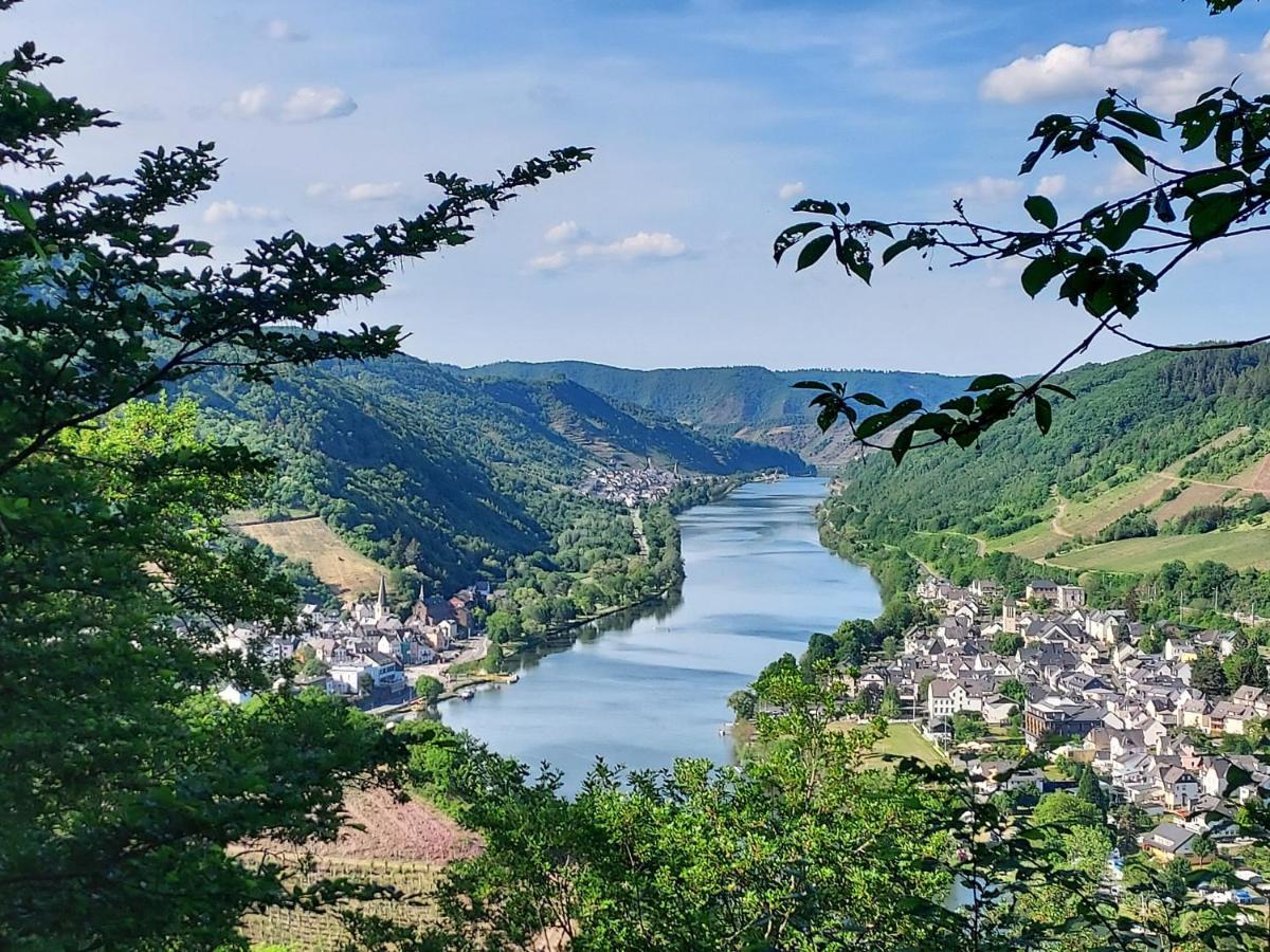 Ferienhaus Zum Prinzenkopf 알프 외부 사진
